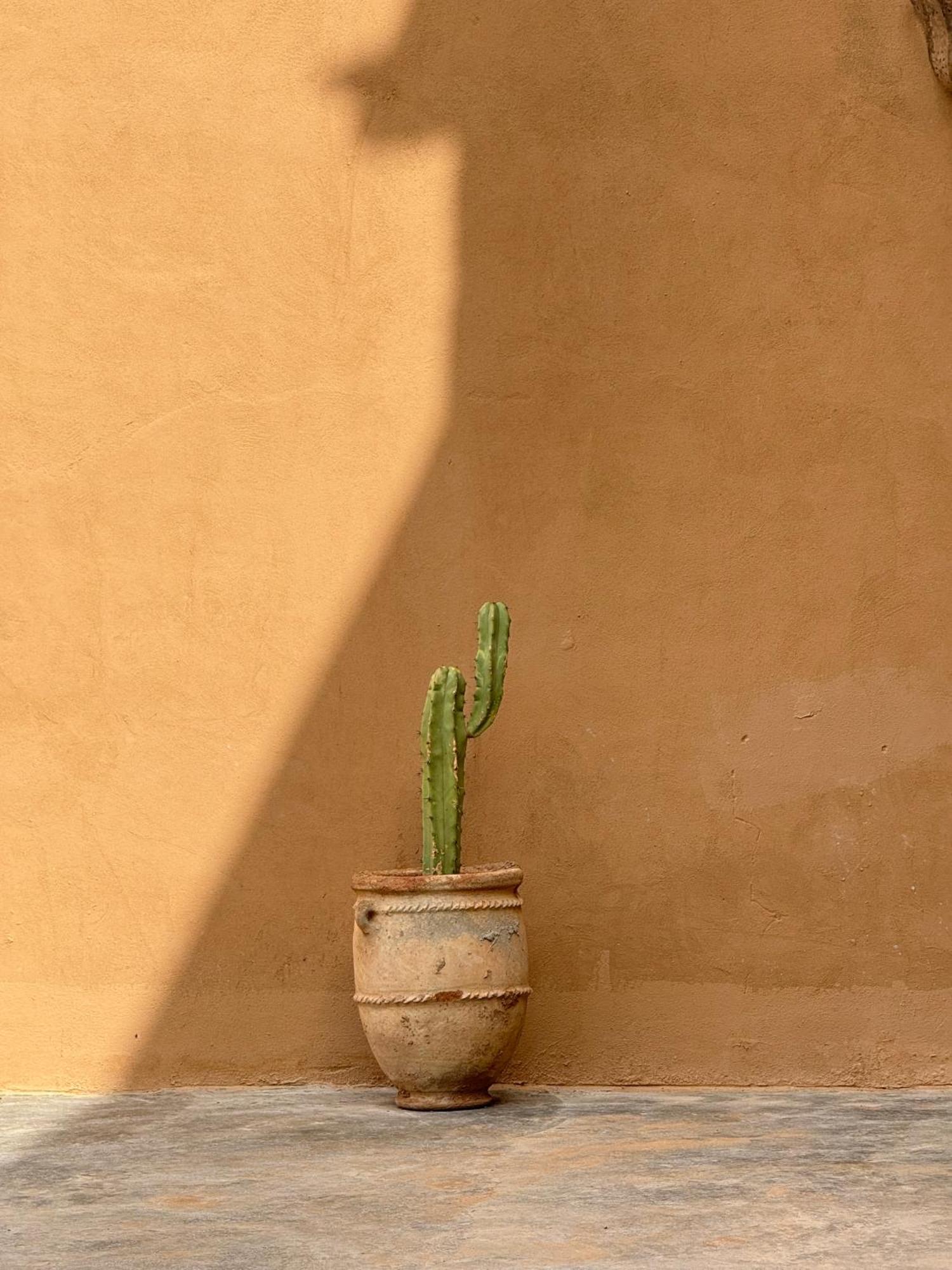 Kasbah Aitisfoul Hotel Tagounite Bagian luar foto