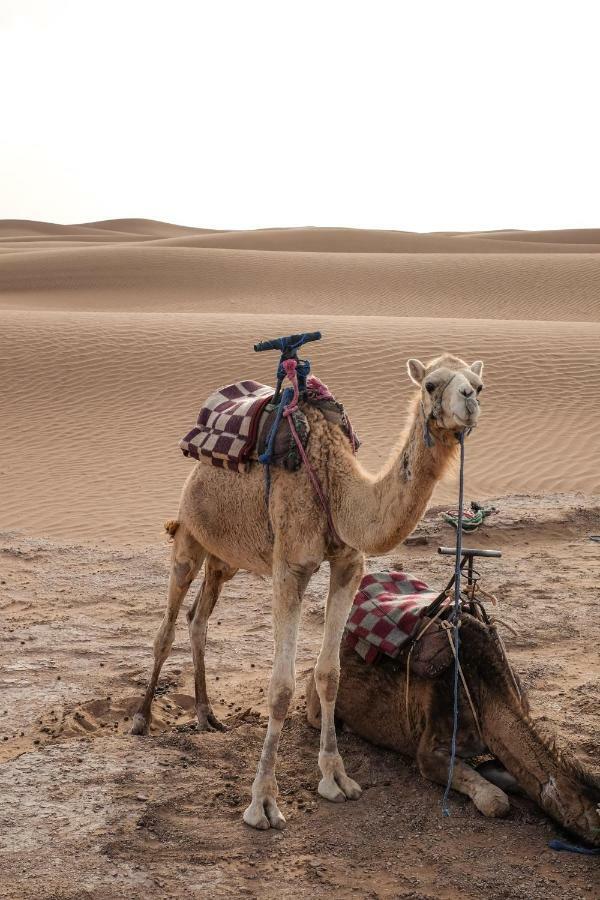 Kasbah Aitisfoul Hotel Tagounite Bagian luar foto